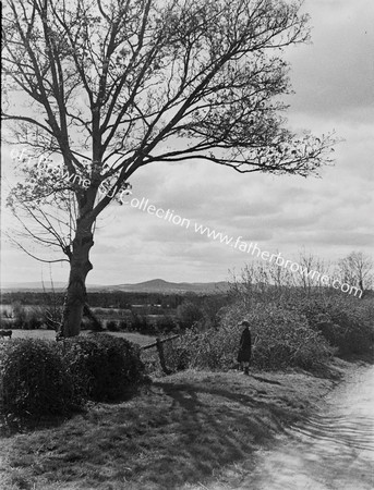 TREES CLOUDS DITCH & FIGURE